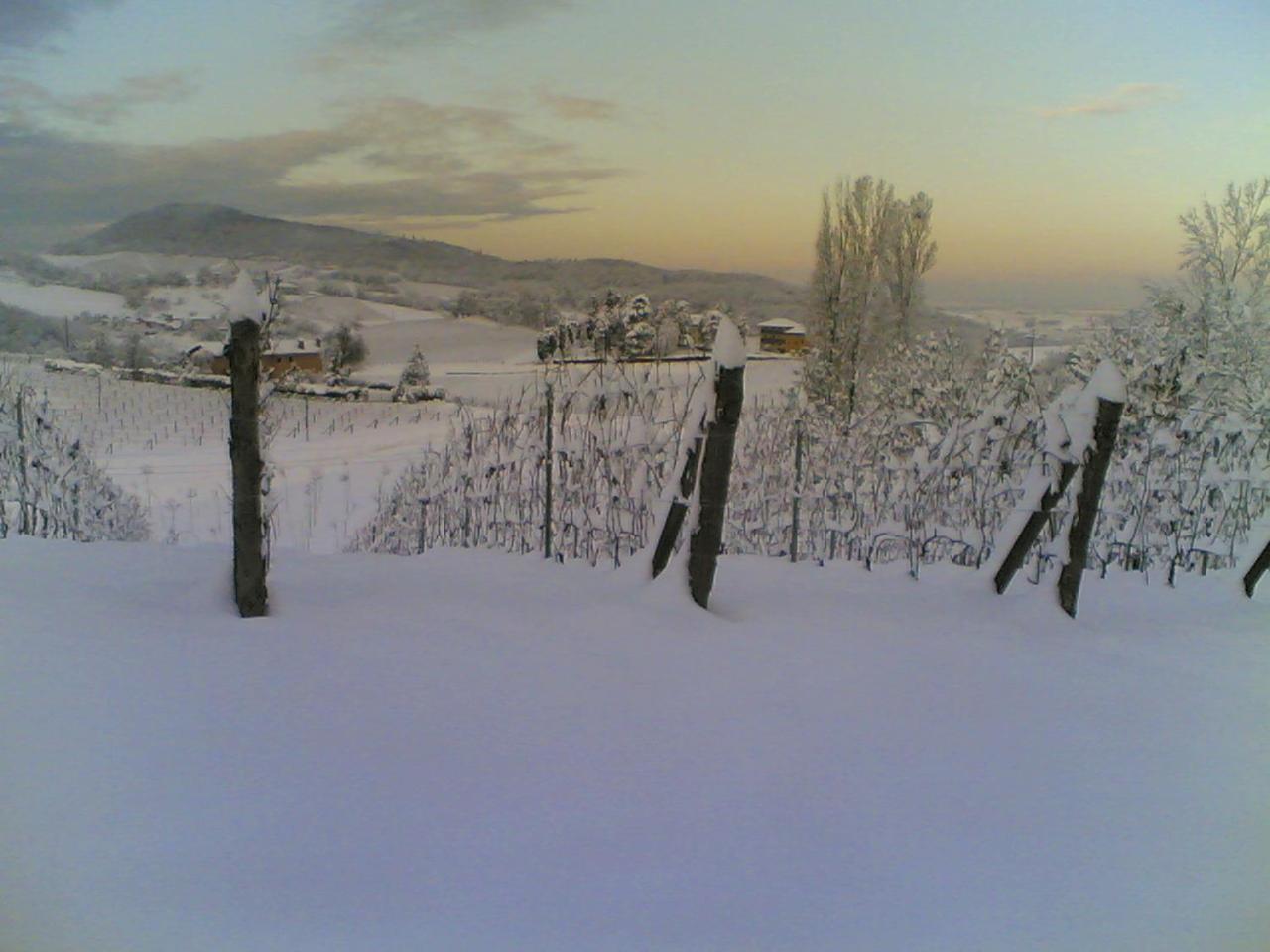 Pallavicini